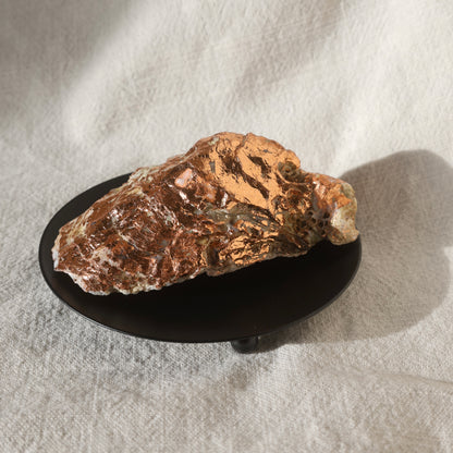 Round black candleholder with seashell candle by Lily Glow Decor