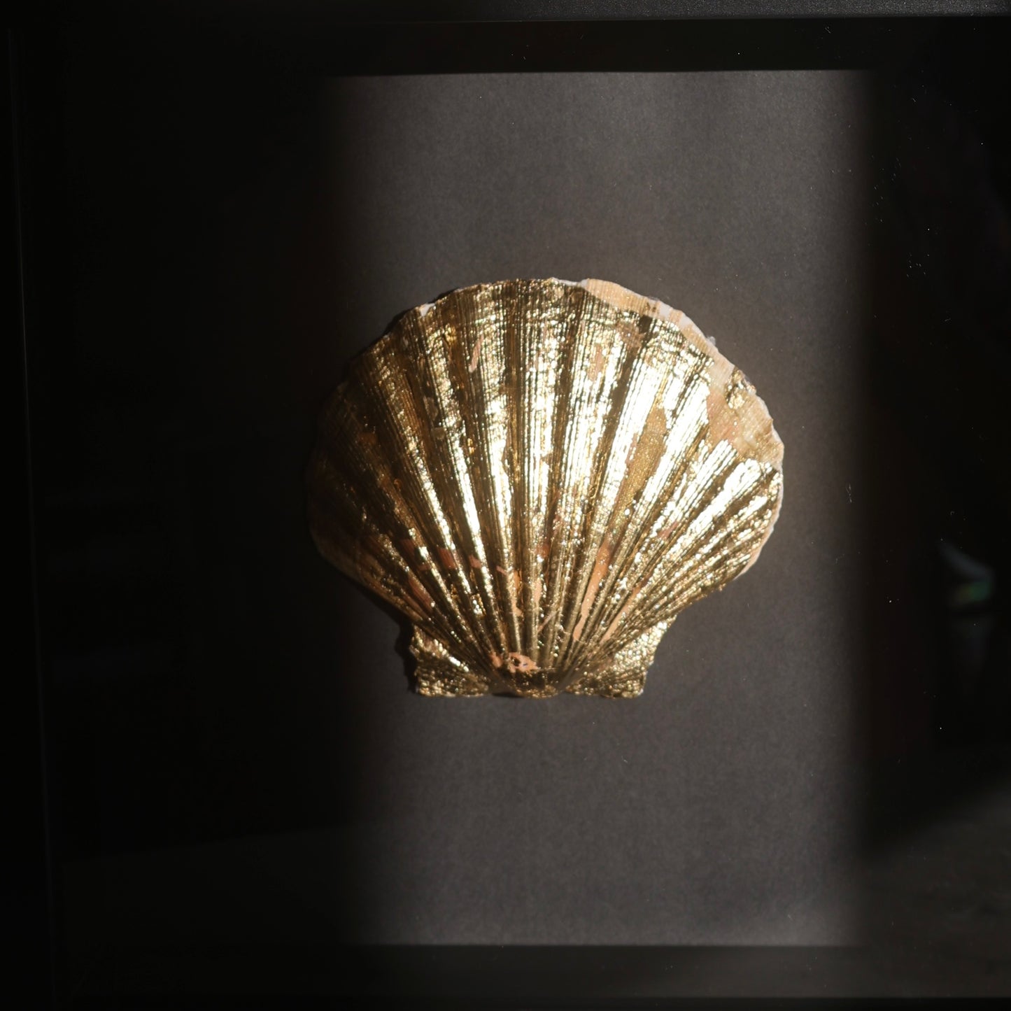 Oyster in a frame №4