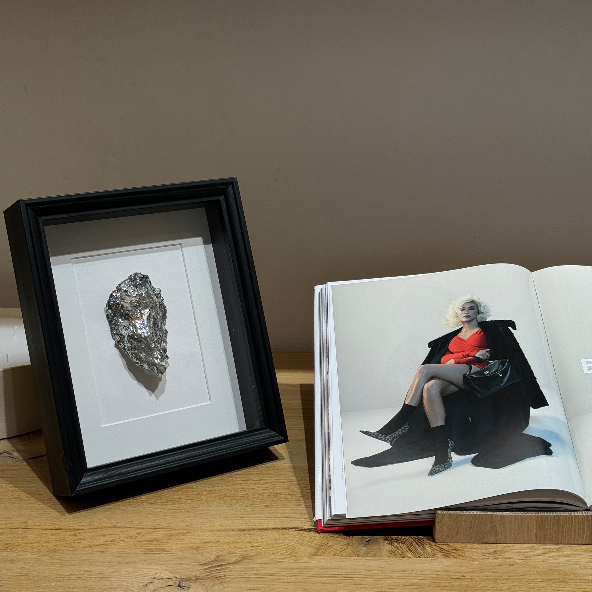 Framed seashell artwork in black with silver details, coastal wall decor | Lily Glow Home Decor