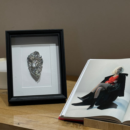 Coastal silver shell art in a black frame, elegant home decor piece | Lily Glow Decor