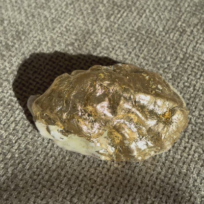 Handmade soy wax candle in a real oyster shell with two wicks – Lily Glow Home Decor