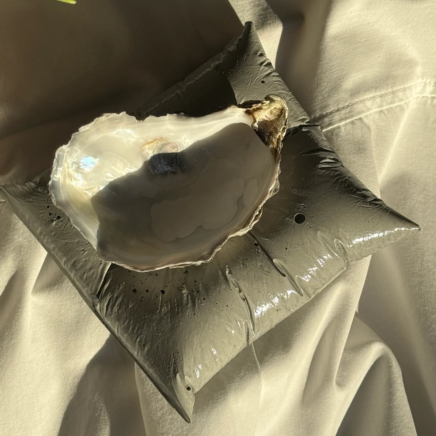 Concrete pillow-shaped candleholder with a glossy finish for displaying a seashell candle by Lily Glow Decor